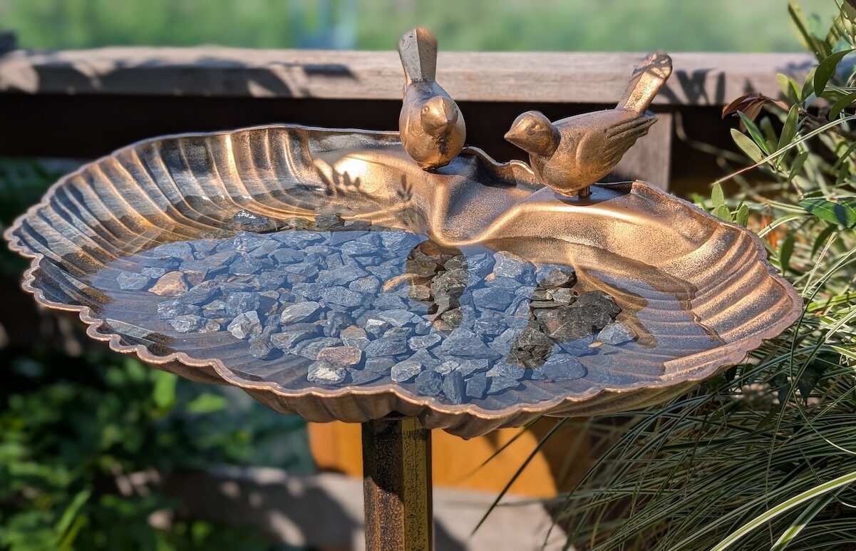 2025_birdbath_1.jpg