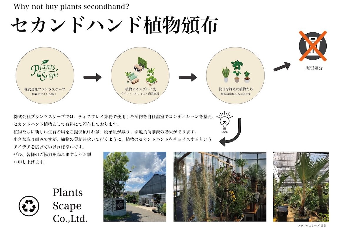 2025_plantsmarket_5.jpg
