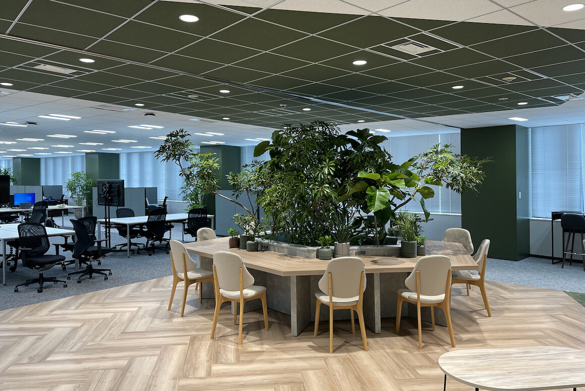 D社　OFFICE 緑化