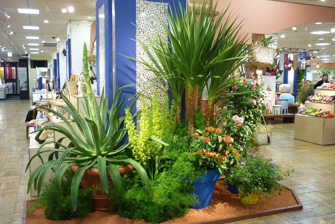 モロッコ王国展イベント装飾画像3