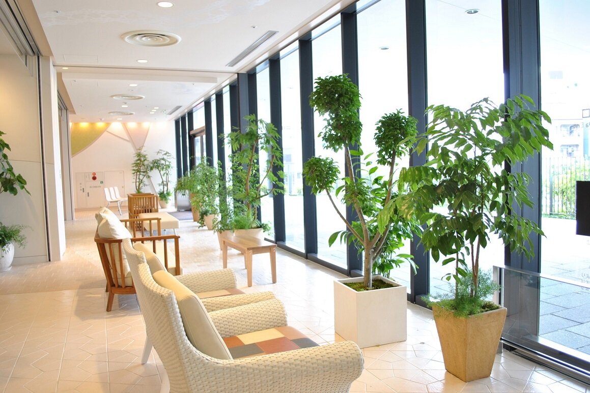 スカイツリーの屋内植栽画像2