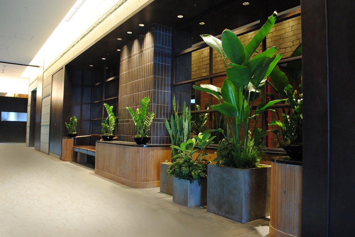 スカイツリーの屋内植栽画像3
