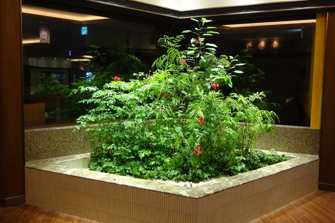 スカイツリーの屋内植栽画像7