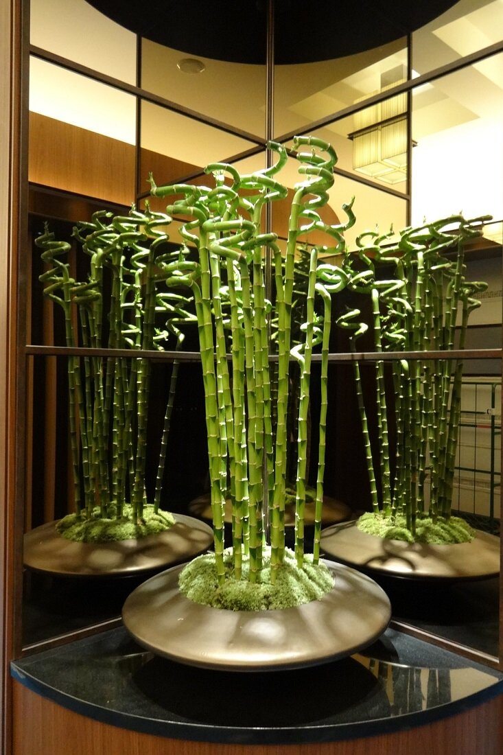 スカイツリーの屋内植栽画像9