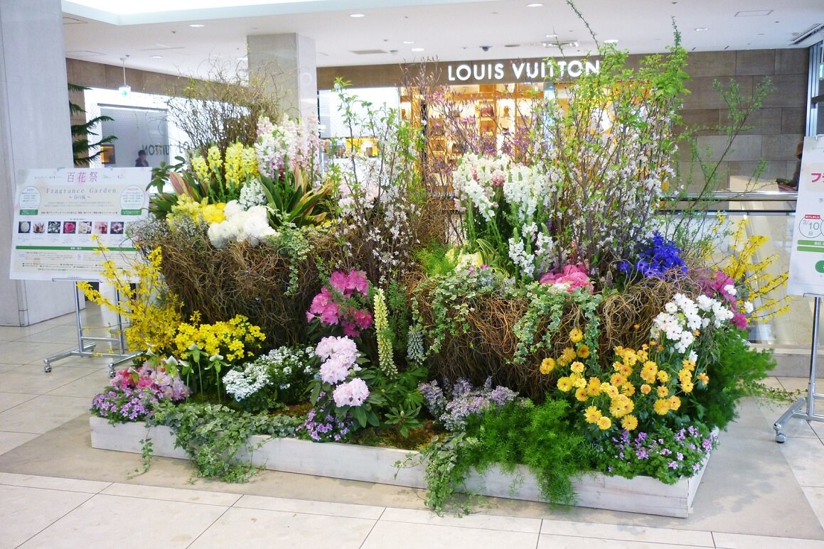 2013百花祭の画像4