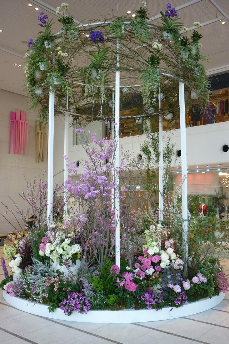 2013百花祭の画像5