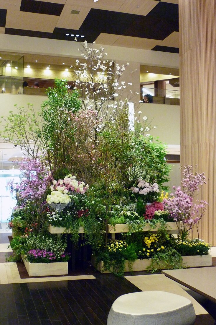 2013百花祭の画像7