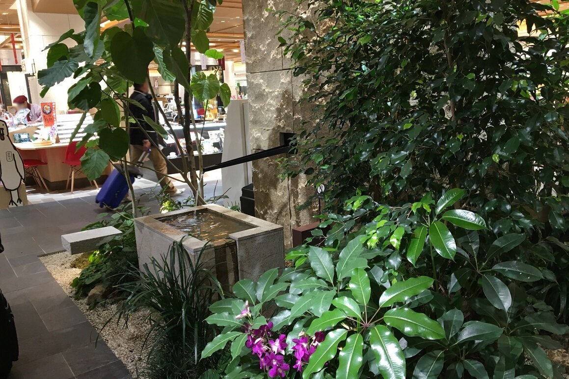 マイング広場の植栽画像3