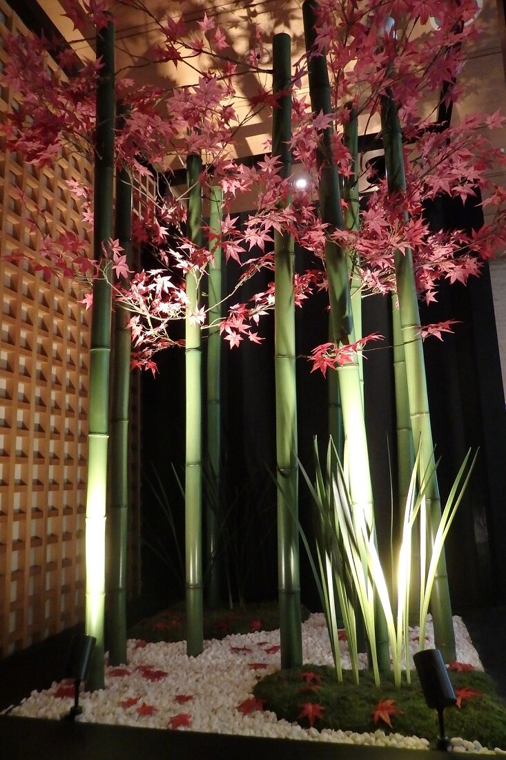 2015shimizushiki4.jpg