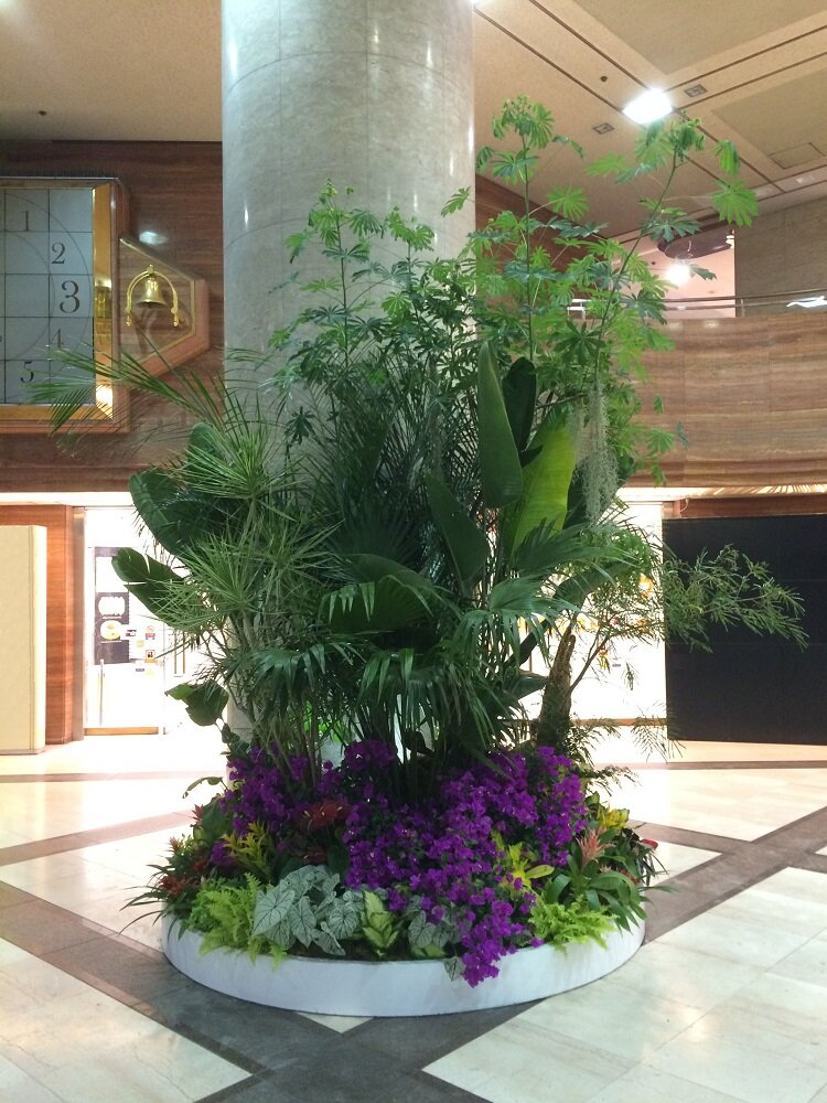 2015sogoyokotropical2.jpg