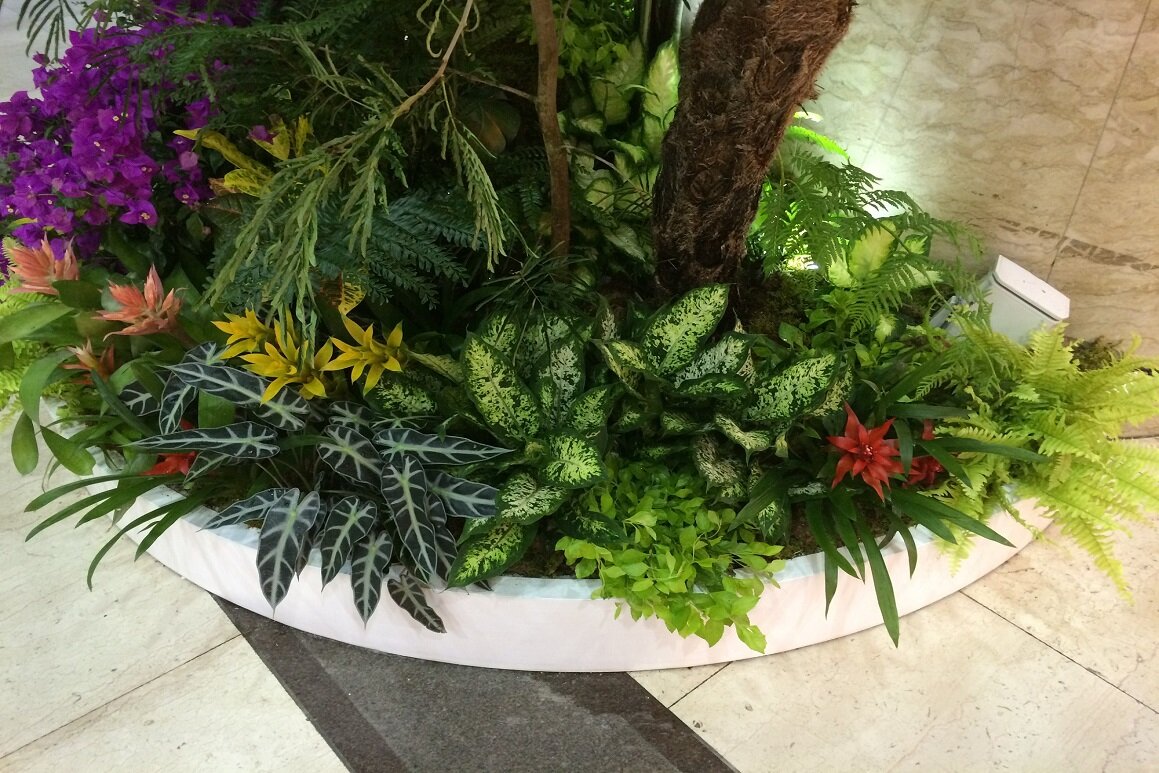2015sogoyokotropical5.jpg