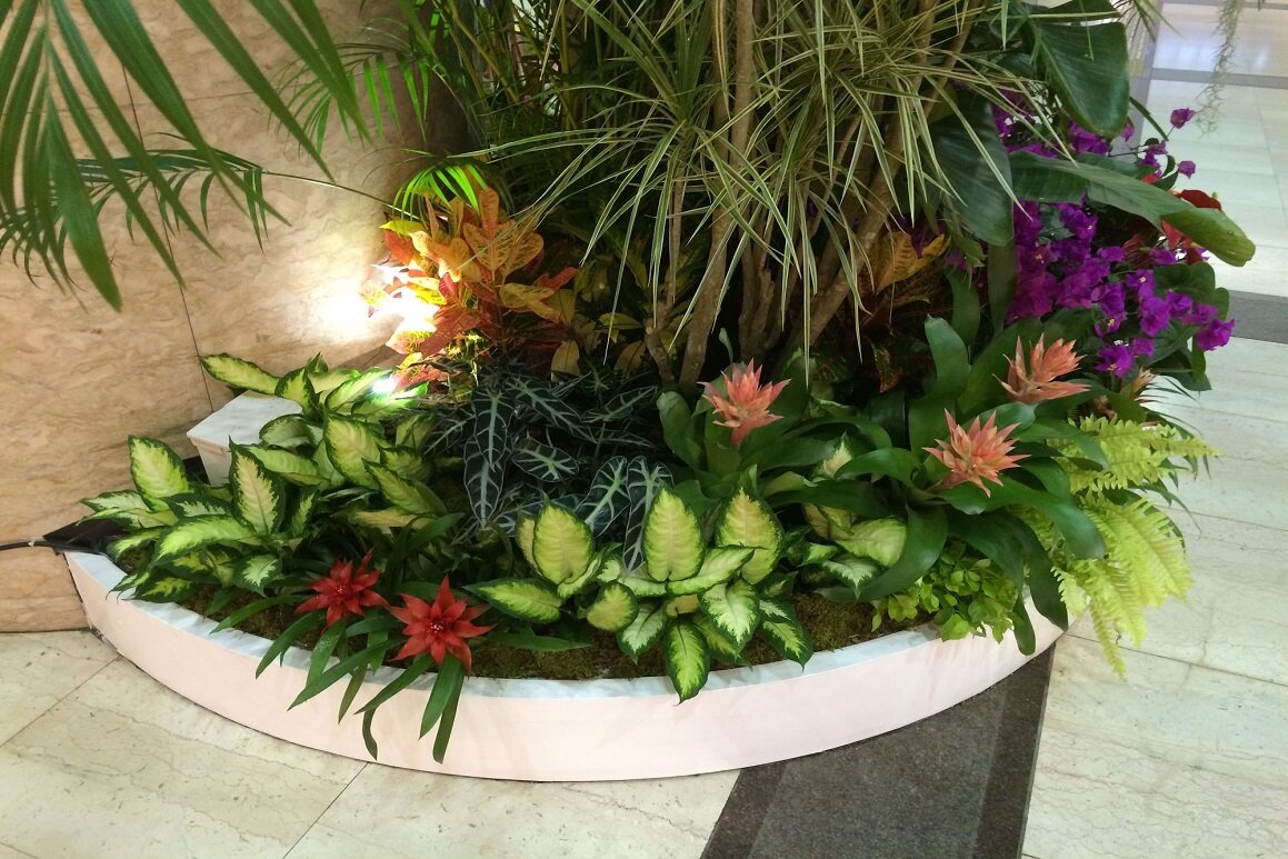 2015sogoyokotropical6.jpg