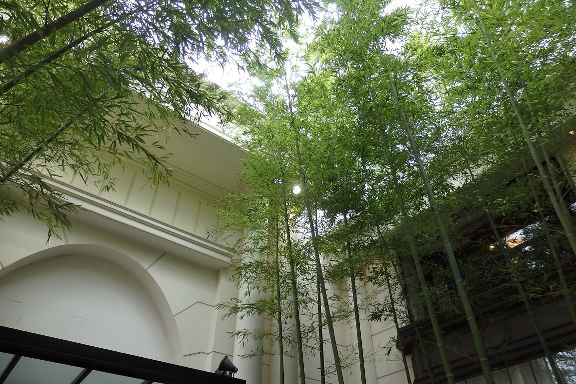 横浜迎賓館の画像8