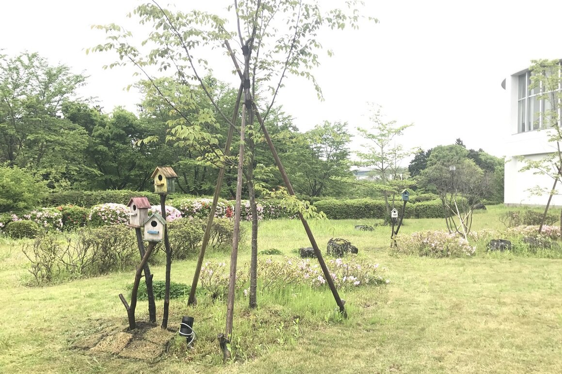 2016ricoh_gotenba7.jpg