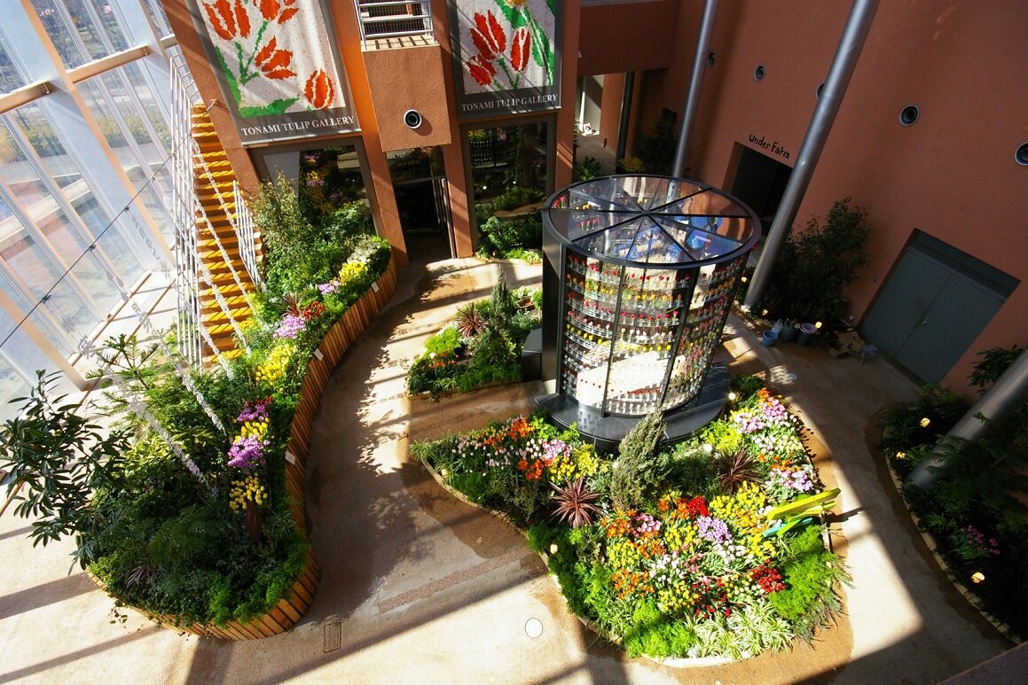 富山チューリップ四季彩館の画像2