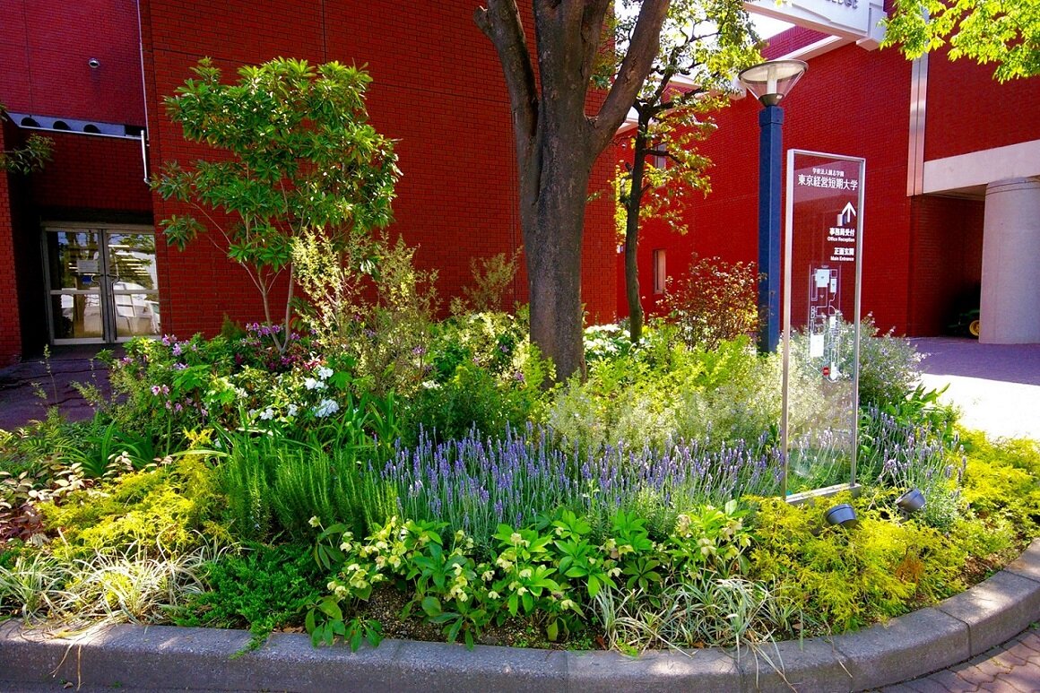 東京経営短期大学の画像3