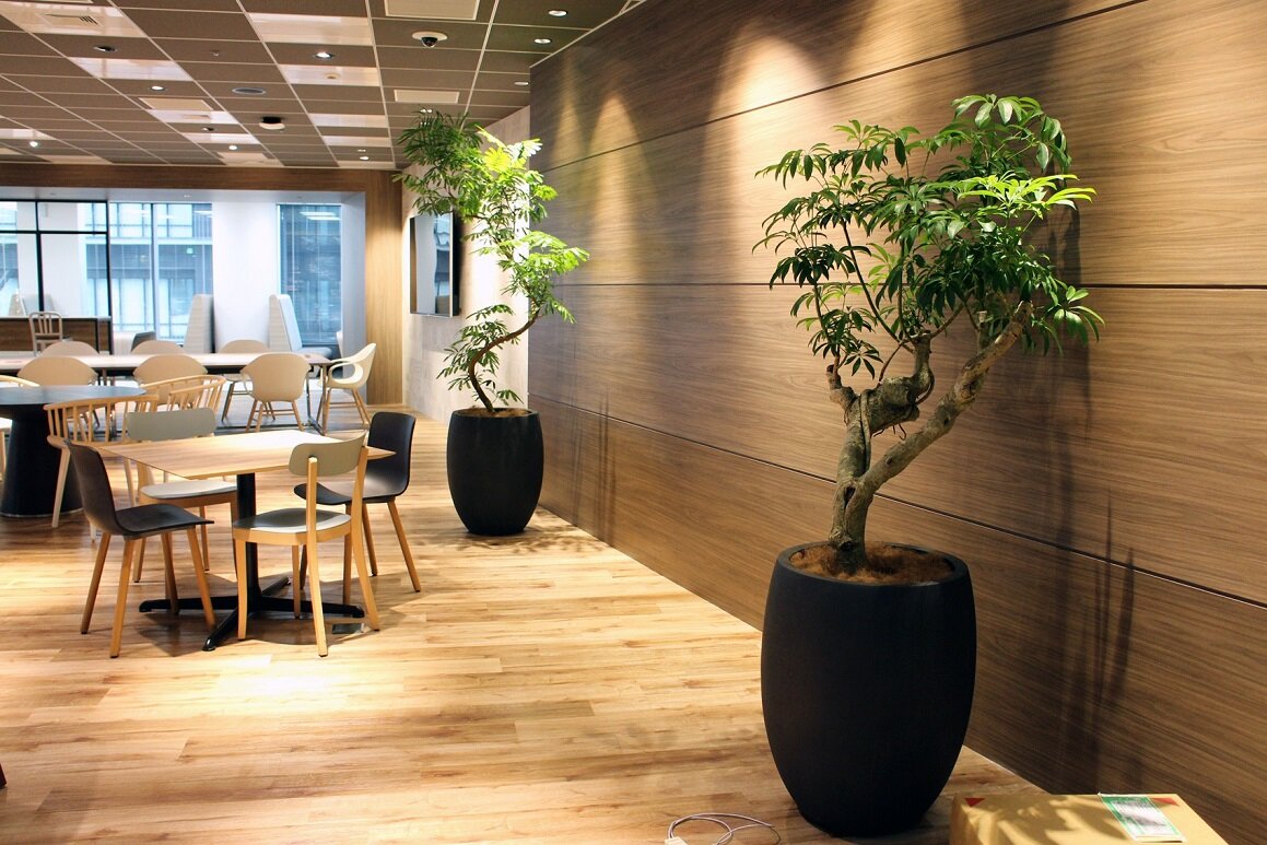 2017officelounge3.jpg