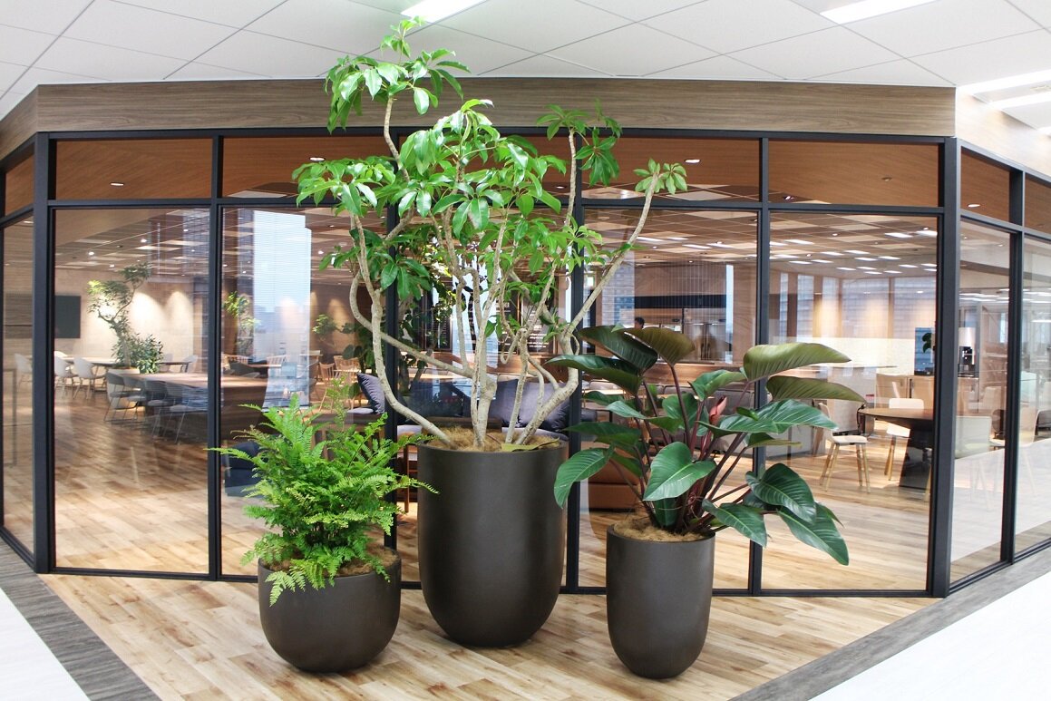 2017officelounge4.jpg