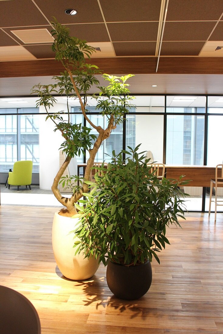 2017officelounge6.jpg
