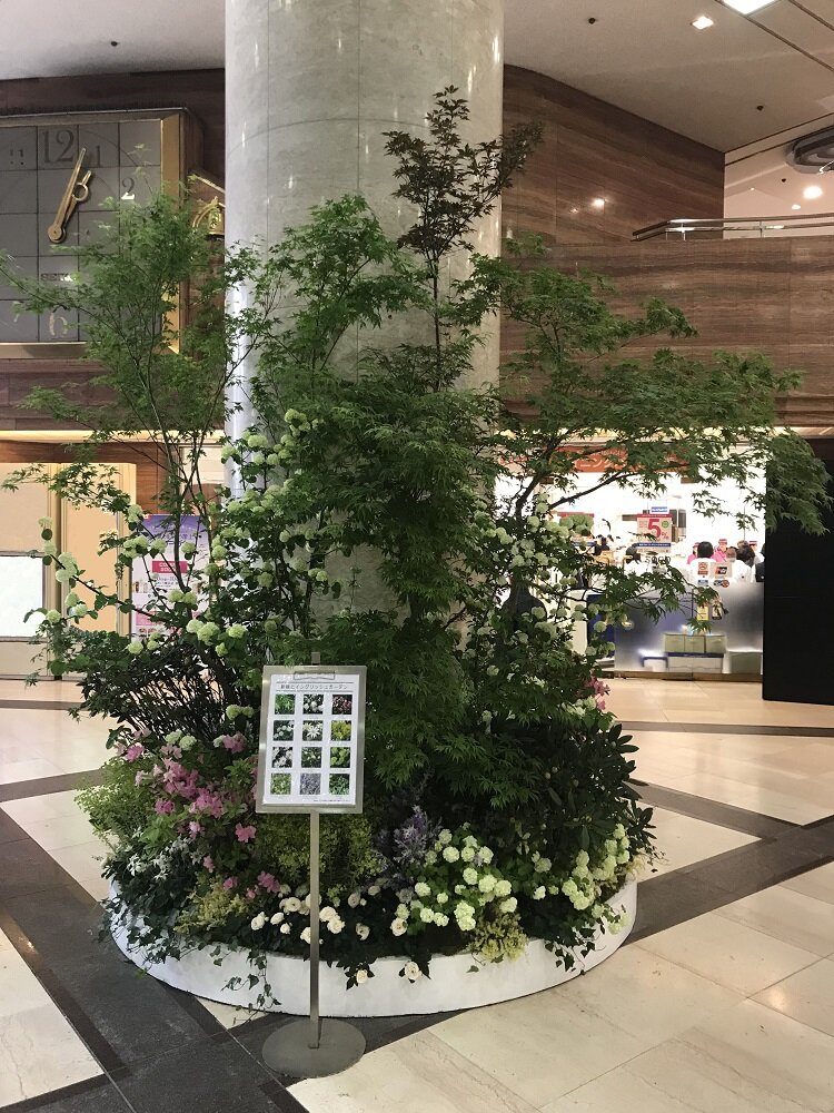 2018sogoyokoshinryoku3.jpg