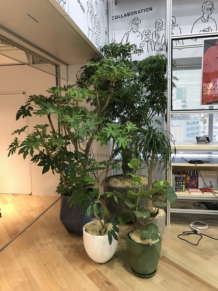 2019boshoffice1.jpg