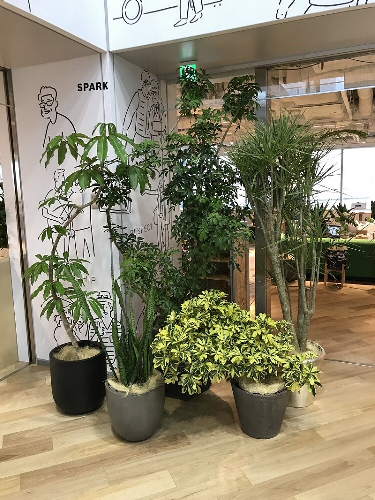 2019boshoffice3.jpg
