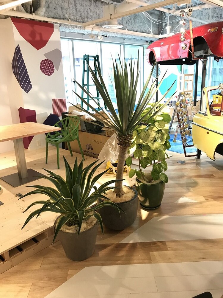 2019boshoffice5.jpg