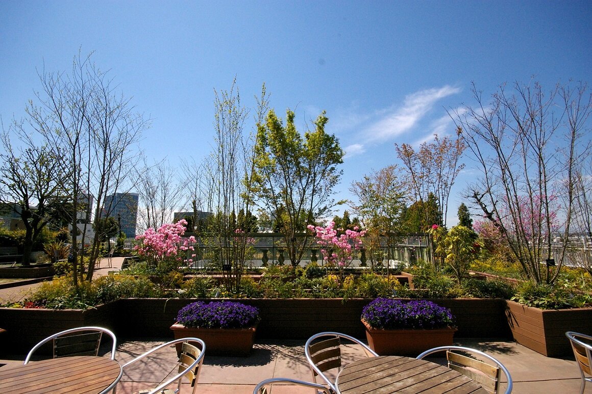 2019tamagawasc_garden4.jpg