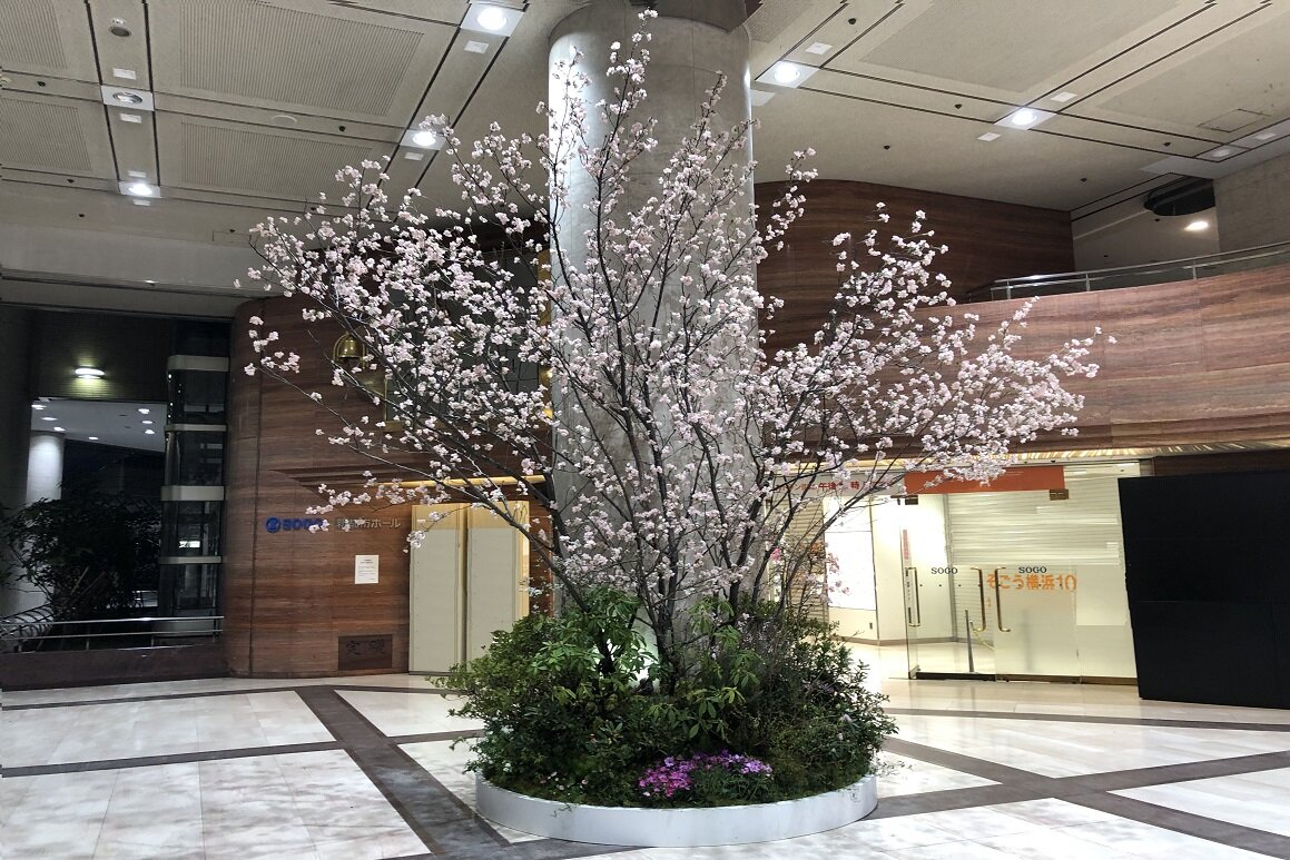 そごう横浜店B2階　桜装飾　2020