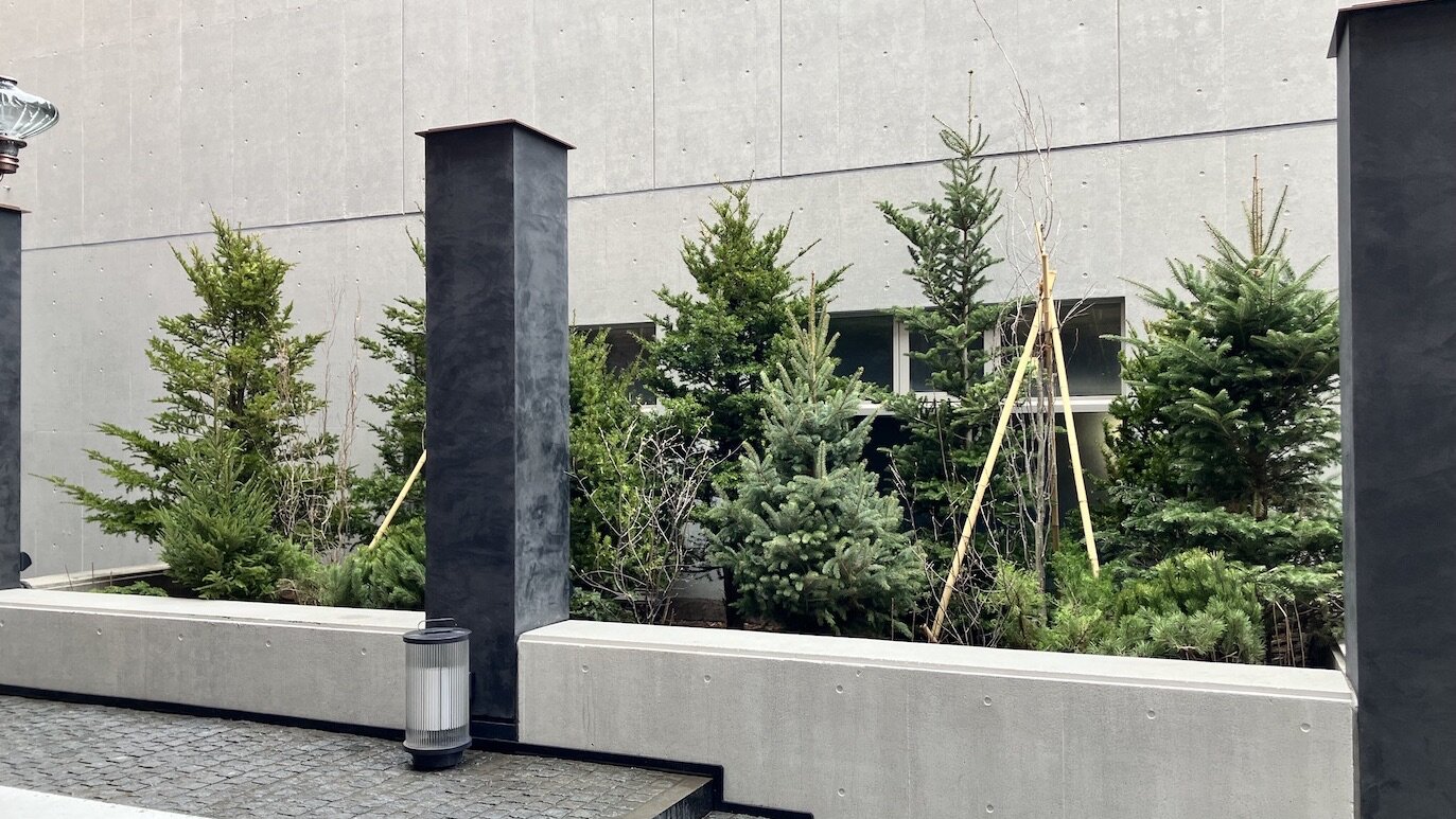 ホテル創成札幌 Mギャラリーコレクション 植栽