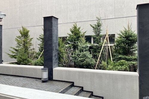 ホテル創成札幌 Mギャラリーコレクション 植栽