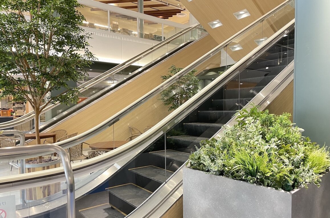2025_yorkpark_3.jpg