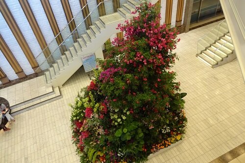 名古屋髙島屋12F 夏装飾2013