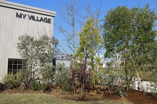 My Village