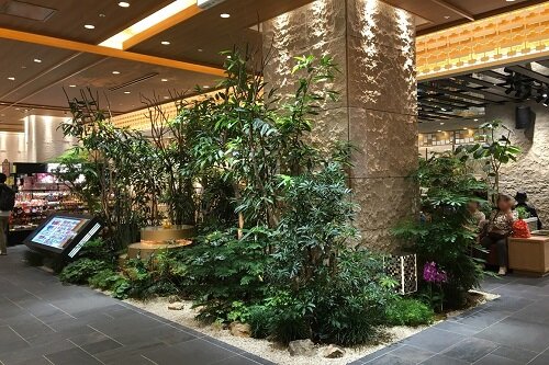 マイング広場