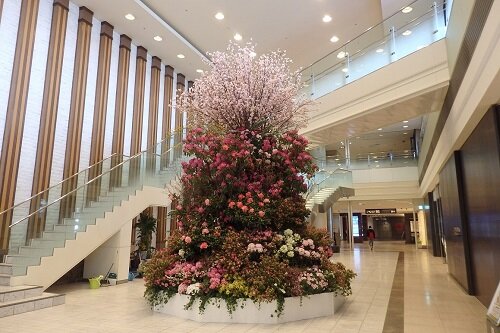 名古屋髙島屋12F 春装飾2016