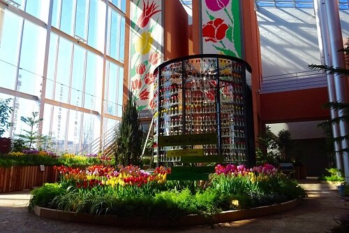 チューリップ四季彩館
