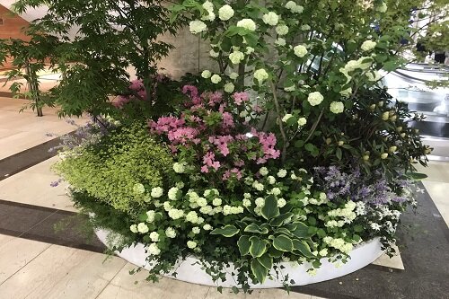 そごう横浜店B2階　新緑装飾　2018
